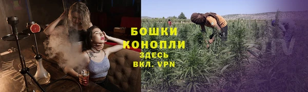 ГАЛЛЮЦИНОГЕННЫЕ ГРИБЫ Нягань