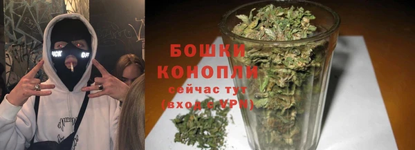 ГАЛЛЮЦИНОГЕННЫЕ ГРИБЫ Нягань