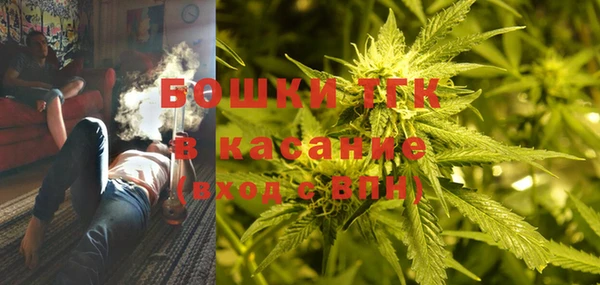 ГАЛЛЮЦИНОГЕННЫЕ ГРИБЫ Нягань