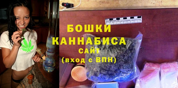 мдпв Няндома