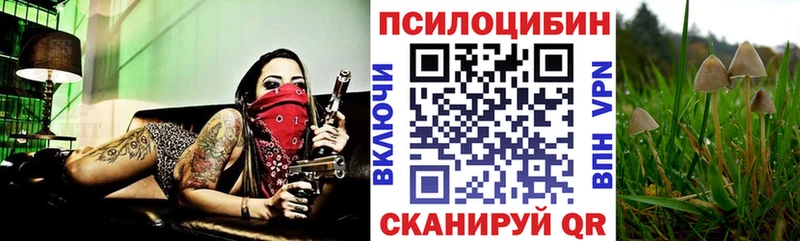 как найти закладки KRAKEN Галлюциногенные грибы Psilocybe Искитим