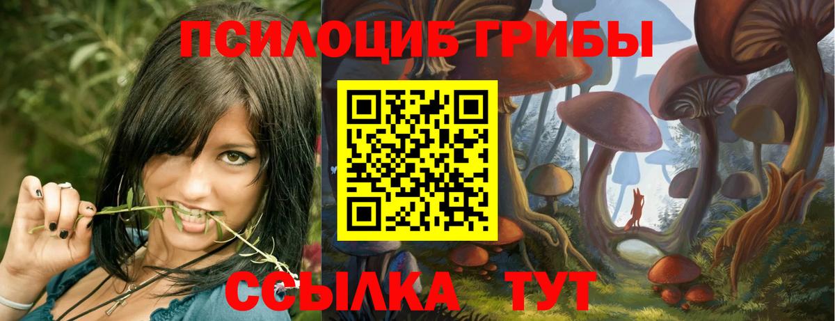 Галлюциногенные грибы MAGIC MUSHROOMS  Вход с VPN  где купить наркоту  Искитим  Галлюциногенные грибы мицелий 